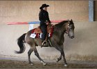 mp-stables 20130921 174