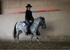 mp-stables 20130921 175