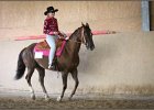 mp-stables 20130921 176