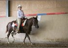mp-stables 20130921 177