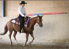 mp-stables 20130921 179