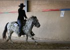 mp-stables 20130921 180