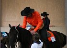 mp-stables 20130921 186