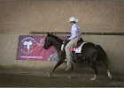 mp-stables 20130921 197