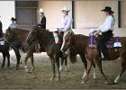 mp-stables 20130921 199
