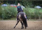 mp-stables 20130921 204