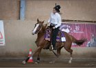 mp-stables 20130921 206