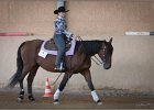 mp-stables 20130921 209