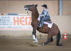 mp-stables 20130921 212