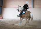 mp-stables 20130921 215
