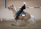 mp-stables 20130921 216