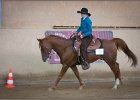 mp-stables 20130921 218