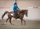 mp-stables 20130921 220