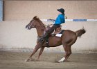 mp-stables 20130921 221