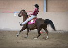 mp-stables 20130921 223