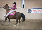 mp-stables 20130921 224