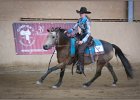 mp-stables 20130921 227
