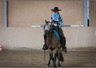 mp-stables 20130921 229
