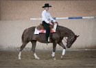 mp-stables 20130921 231