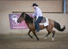 mp-stables 20130921 235