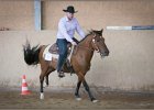 mp-stables 20130921 236