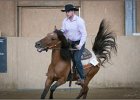 mp-stables 20130921 237
