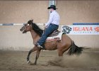 mp-stables 20130921 238