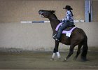 mp-stables 20130921 245