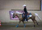 mp-stables 20130921 247