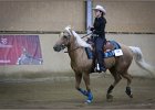 mp-stables 20130921 248