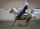 mp-stables 20130921 250