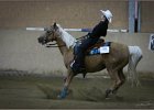 mp-stables 20130921 251