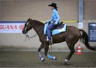mp-stables 20130921 254