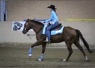 mp-stables 20130921 255