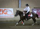 mp-stables 20130921 263
