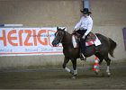 mp-stables 20130921 264