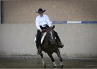 mp-stables 20130921 265