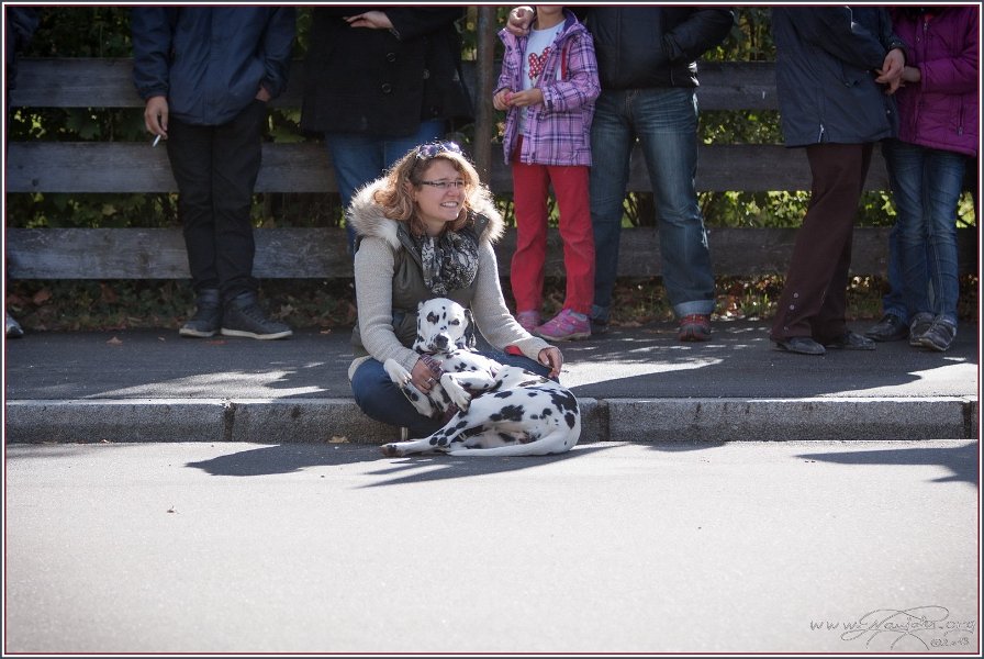 Vilsbiburg 2013 001