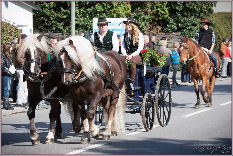 Vilsbiburg 2013 006
