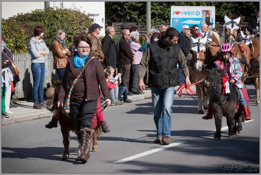 Vilsbiburg 2013 013