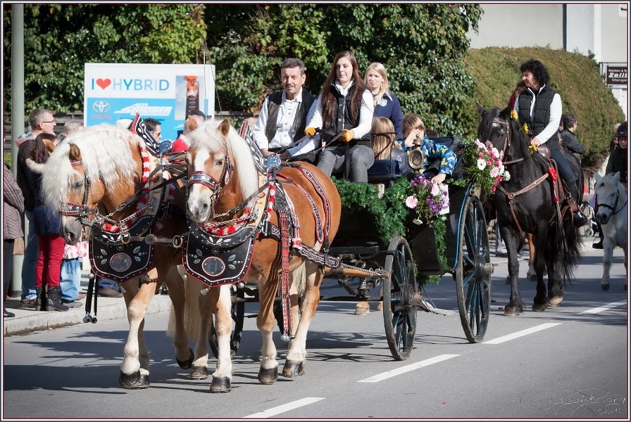 Vilsbiburg 2013 028