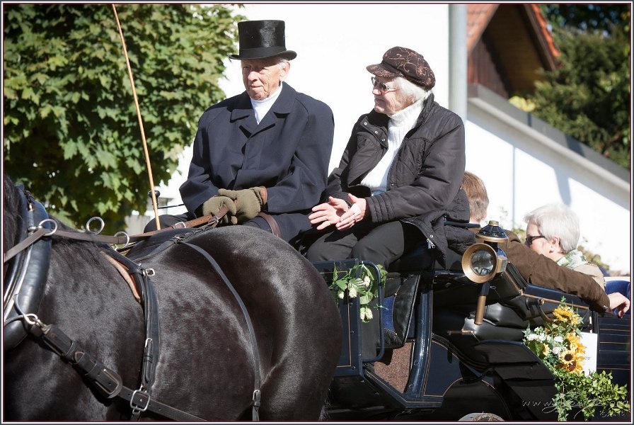 Vilsbiburg 2013 030
