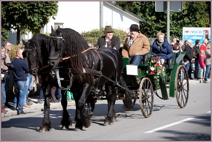 Vilsbiburg 2013 035