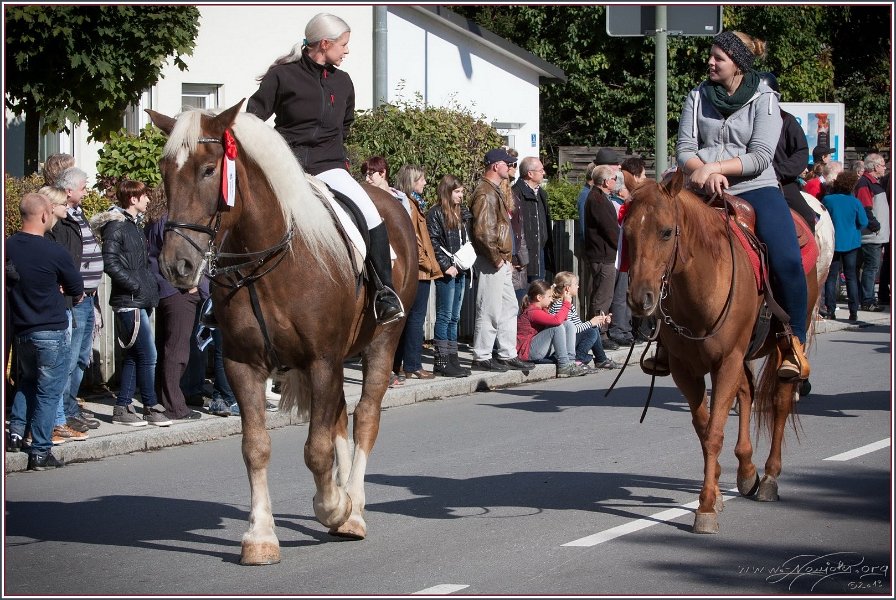 Vilsbiburg 2013 041