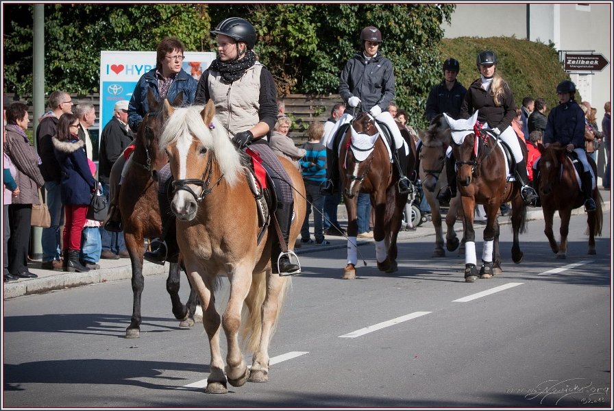 Vilsbiburg 2013 042