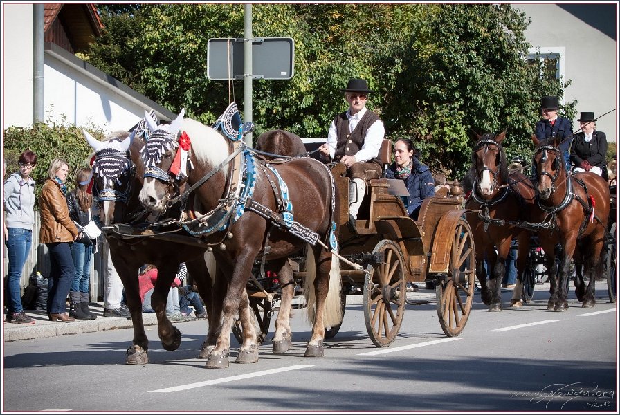 Vilsbiburg 2013 051