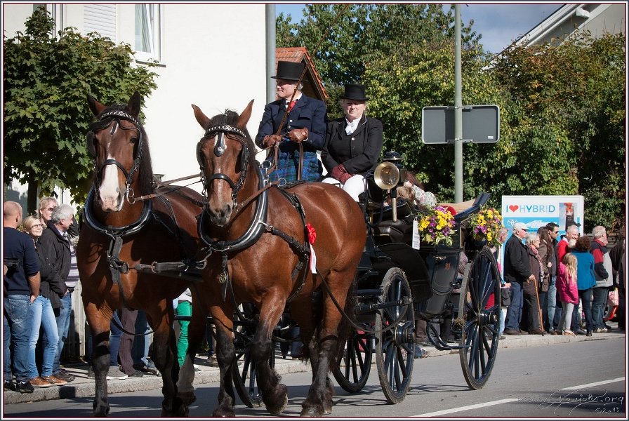 Vilsbiburg 2013 053