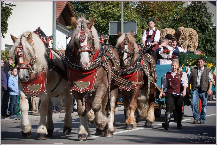 Vilsbiburg 2013 059