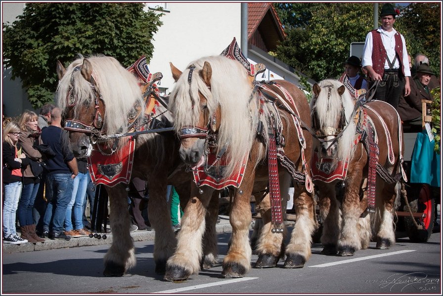 Vilsbiburg 2013 069