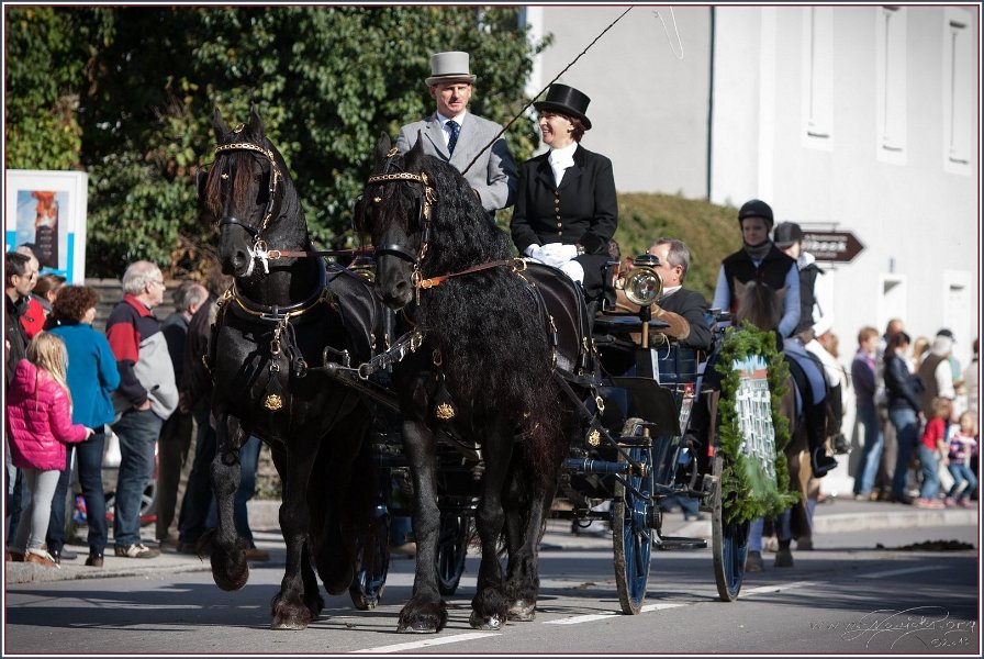 Vilsbiburg 2013 075